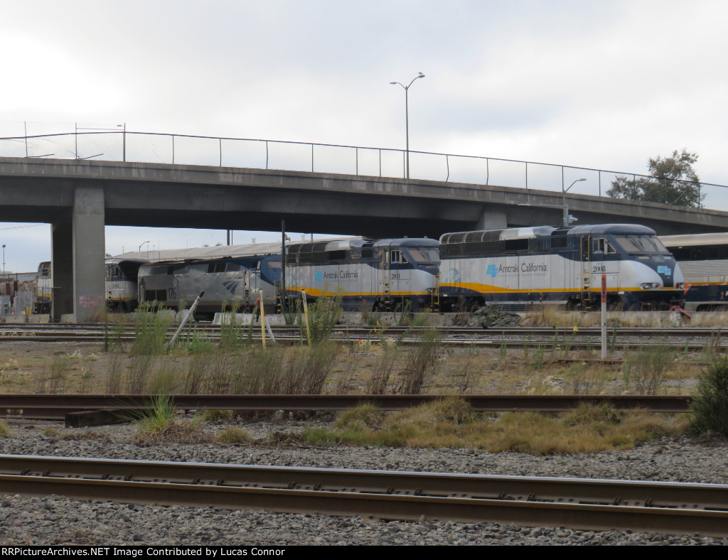 Amtrak Workhorses